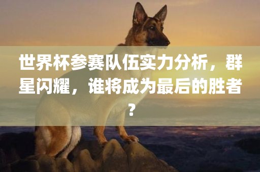 世界杯参赛队伍实力分析，群星闪耀，谁将成为最后的胜者？