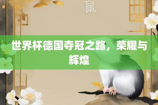 世界杯德国夺冠之路，荣耀与辉煌