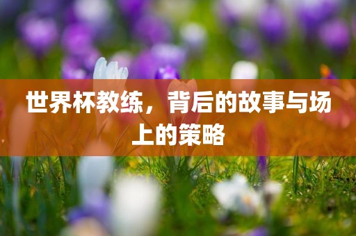 世界杯教练，背后的故事与场上的策略