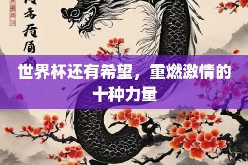 世界杯还有希望，重燃激情的十种力量