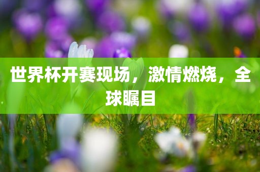 世界杯开赛现场，激情燃烧，全球瞩目