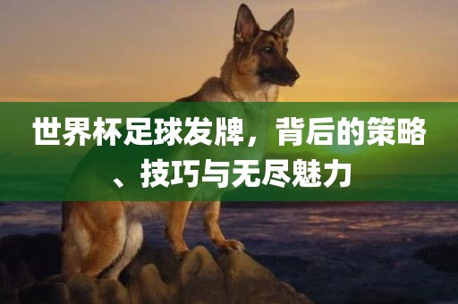 世界杯足球发牌，背后的策略、技巧与无尽魅力