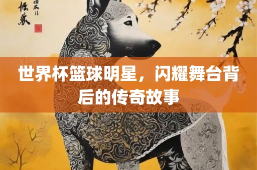 世界杯篮球明星，闪耀舞台背后的传奇故事