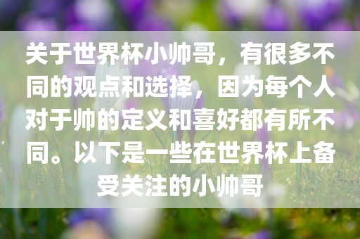 关于世界杯小帅哥，有很多不同的观点和选择，因为每个人对于帅的定义和喜好都有所不同。以下是一些在世界杯上备受关注的小帅哥