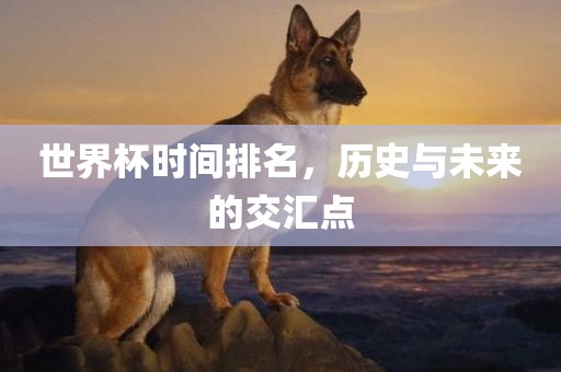 世界杯时间排名，历史与未来的交汇点
