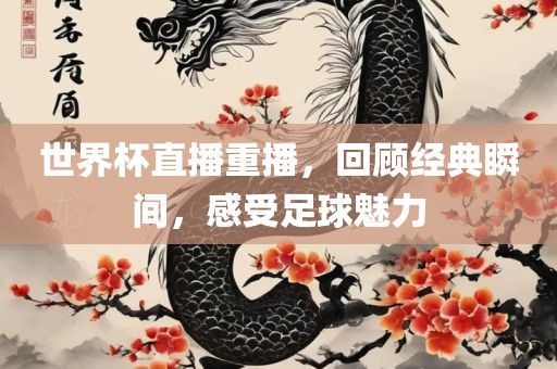 世界杯直播重播，回顾经典瞬间，感受足球魅力