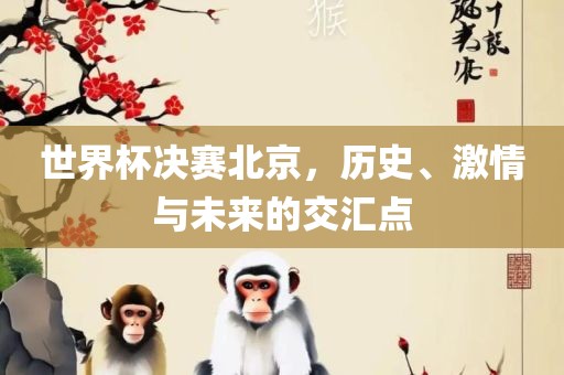 世界杯决赛北京，历史、激情与未来的交汇点