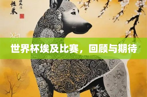 世界杯埃及比赛，回顾与期待