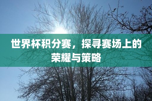 世界杯积分赛，探寻赛场上的荣耀与策略