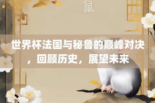 世界杯法国与秘鲁的巅峰对决，回顾历史，展望未来