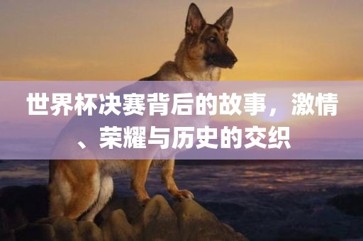 世界杯决赛背后的故事，激情、荣耀与历史的交织