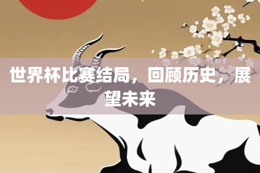 世界杯比赛结局，回顾历史，展望未来