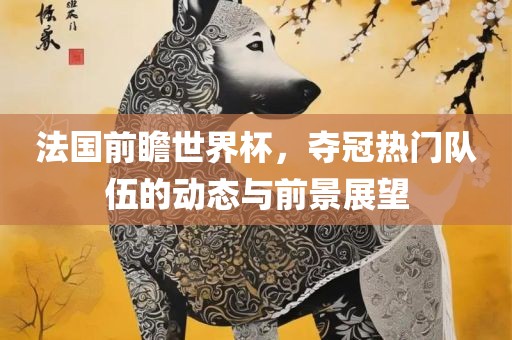 法国前瞻世界杯，夺冠热门队伍的动态与前景展望