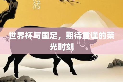 世界杯与国足，期待重逢的荣光时刻