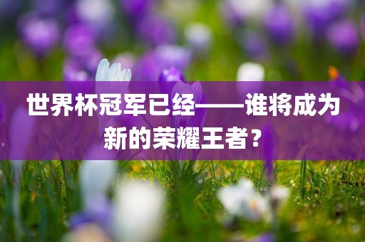 世界杯冠军已经——谁将成为新的荣耀王者？
