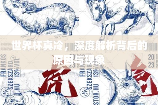 世界杯真冷，深度解析背后的原因与现象