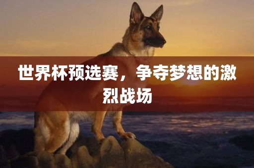 世界杯预选赛，争夺梦想的激烈战场