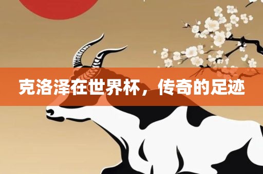 克洛泽在世界杯，传奇的足迹