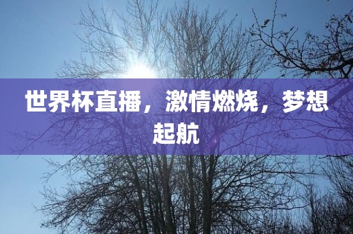 世界杯直播，激情燃烧，梦想起航