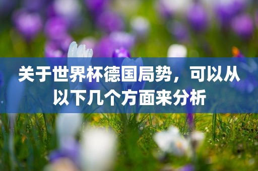 关于世界杯德国局势，可以从以下几个方面来分析
