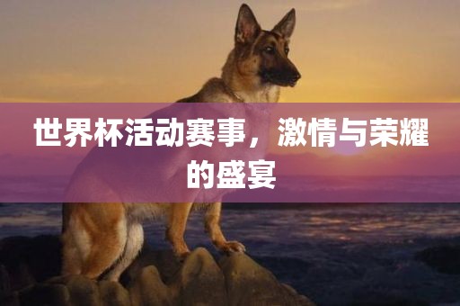 世界杯活动赛事，激情与荣耀的盛宴