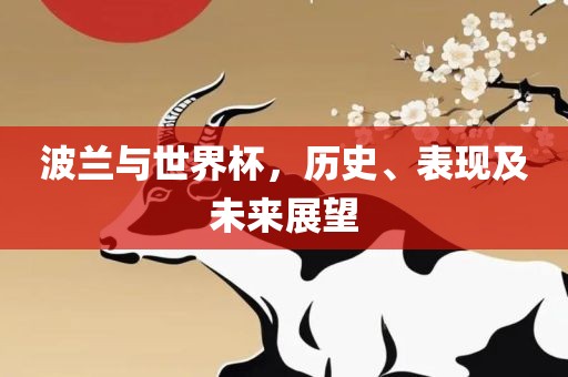 波兰与世界杯，历史、表现及未来展望
