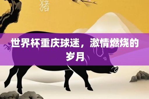 世界杯重庆球迷，激情燃烧的岁月