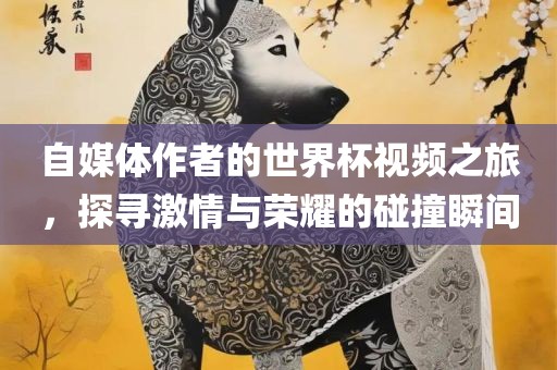 自媒体作者的世界杯视频之旅，探寻激情与荣耀的碰撞瞬间