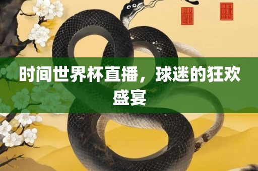时间世界杯直播，球迷的狂欢盛宴眉山市正发家政服务有限公司