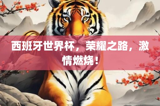 西班牙世界杯，荣耀之路，激情燃烧！