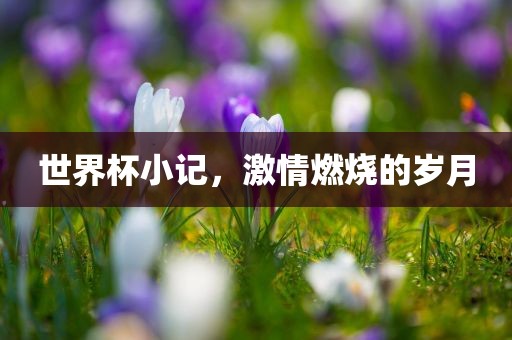 世界杯小记，激情燃烧的岁月