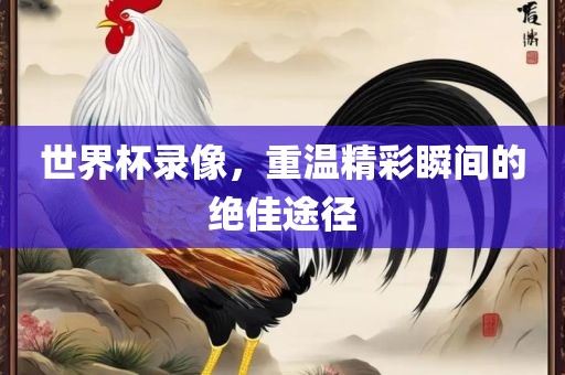 世界杯录像，重温精彩瞬间的绝佳途径