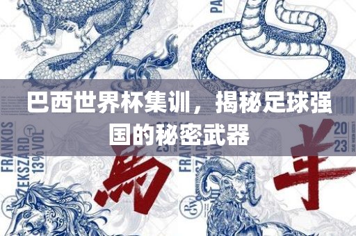 巴西世界杯集训，揭秘足球强国的秘密武器