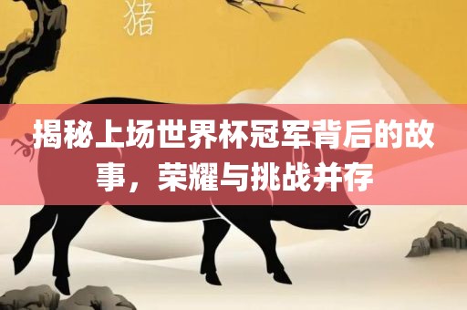 揭秘上场世界杯冠军背后的故事，荣耀与挑战并存