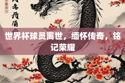 世界杯球员离世，缅怀传奇，铭记荣耀