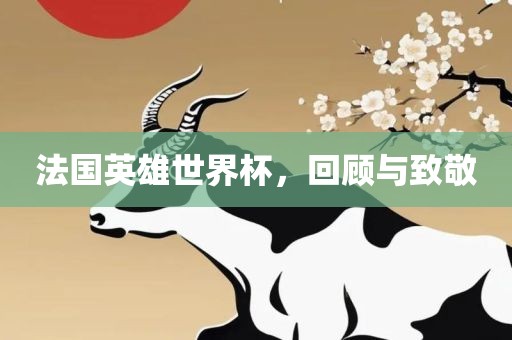 回顾与致敬
