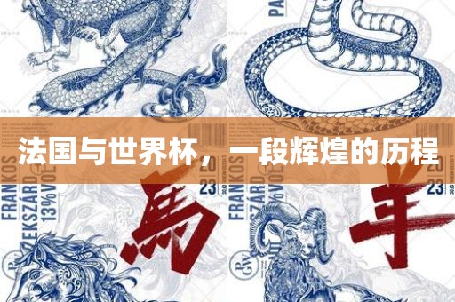 法国与世界杯，一段辉煌的历程