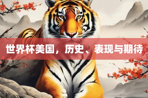 世界杯美国，历史、表现与期待