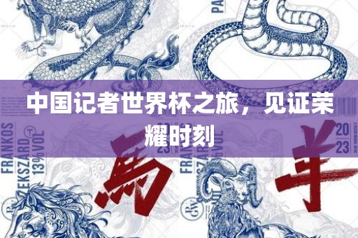 中国记者世界杯之旅，见证荣耀时刻