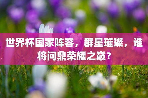 世界杯国家阵容，群星璀璨，谁将问鼎荣耀之巅？