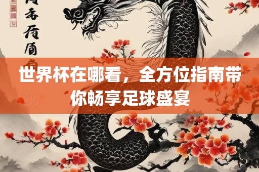 世界杯在哪看，全方位指南带你畅享足球盛宴