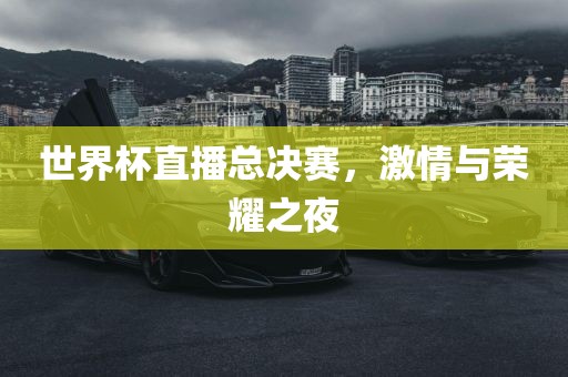 世界杯直播总决赛，激情与荣耀之夜